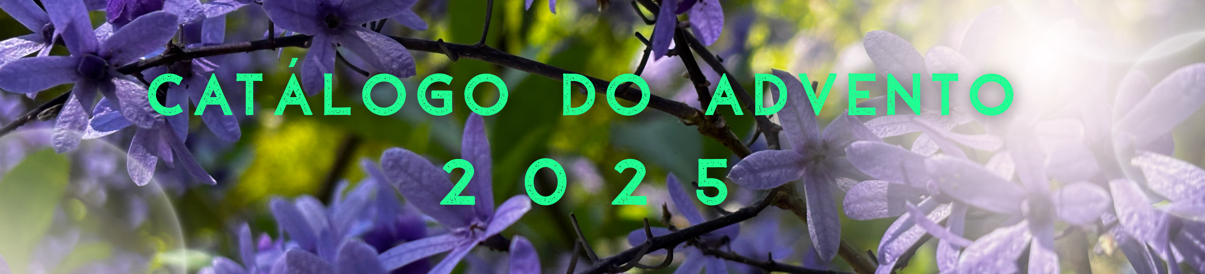 CATÁLOGO ADVENTO 2025
